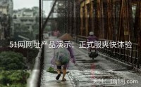 51网网址产品演示：正式服爽快体验
