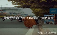 隐藏要点麻豆网（4K超清）策略大全