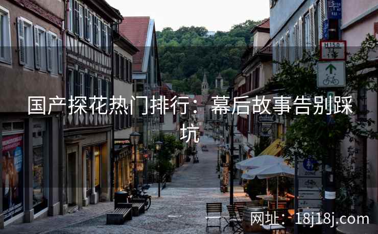 国产探花热门排行：幕后故事告别踩坑