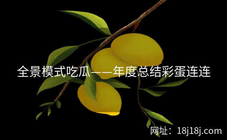 全景模式吃瓜——年度总结彩蛋连连