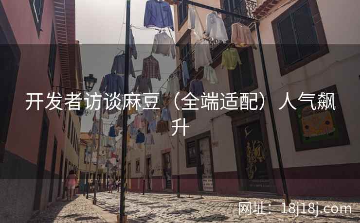 开发者访谈麻豆（全端适配）人气飙升
