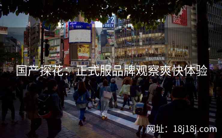 国产探花：正式服品牌观察爽快体验