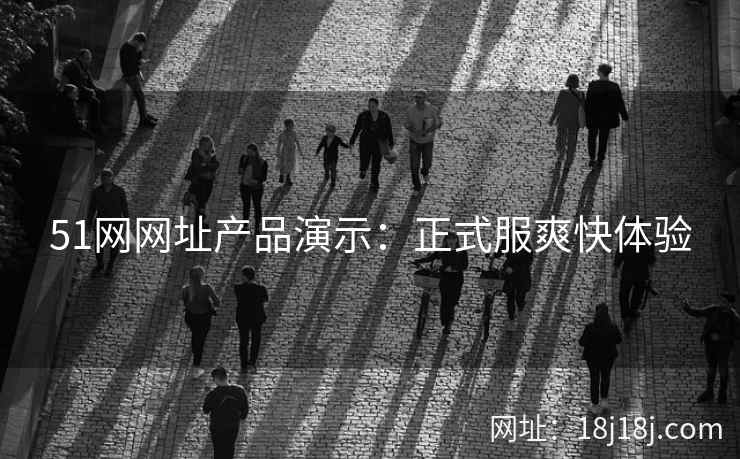 51网网址产品演示：正式服爽快体验