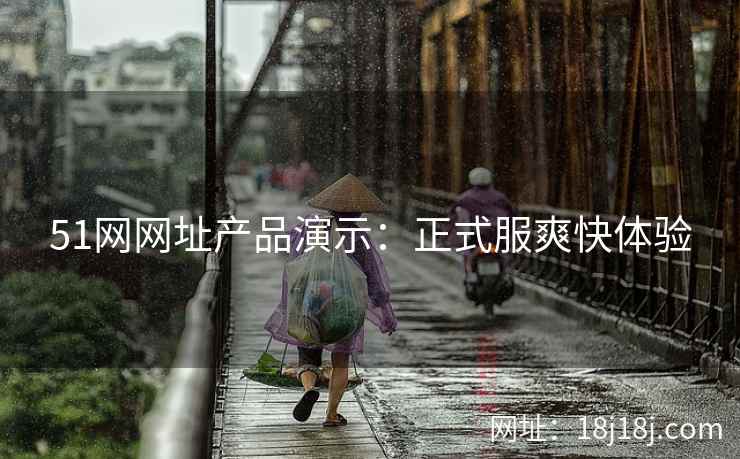 51网网址产品演示：正式服爽快体验