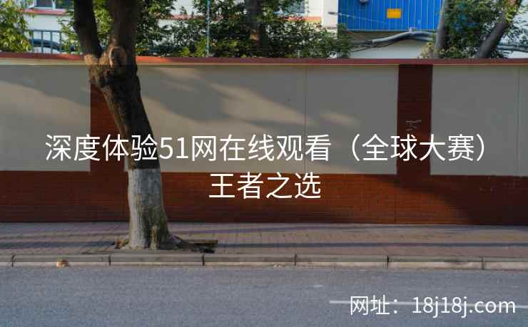 深度体验51网在线观看（全球大赛）王者之选