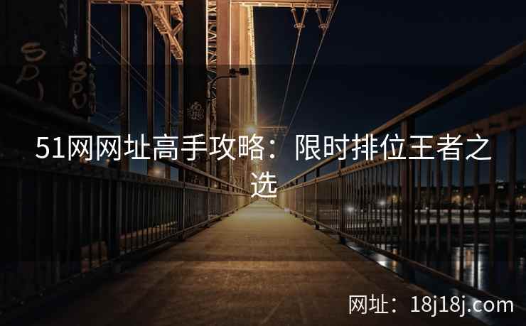 51网网址高手攻略：限时排位王者之选