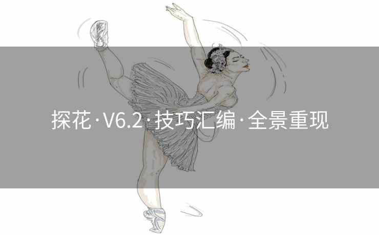 探花·V6.2·技巧汇编·全景重现