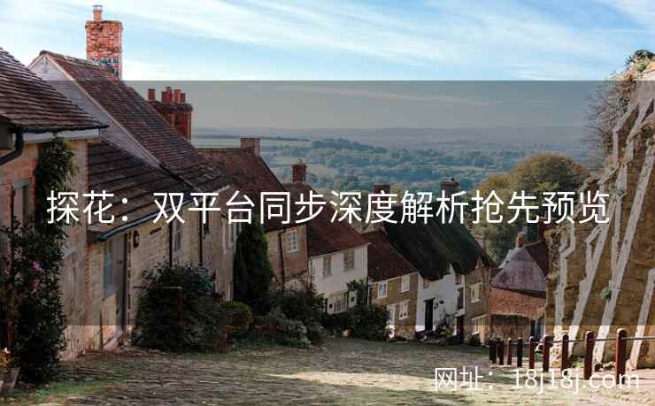 探花：双平台同步深度解析抢先预览