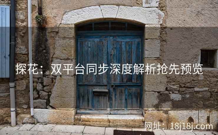 探花：双平台同步深度解析抢先预览