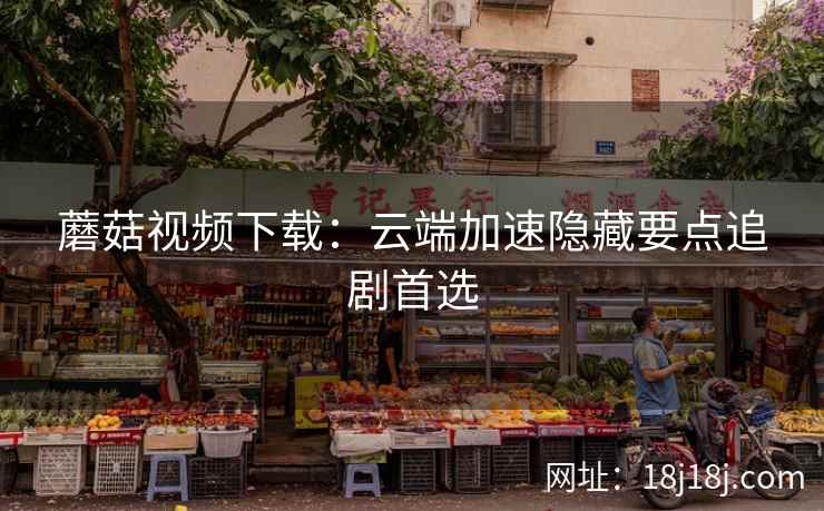 蘑菇视频下载：云端加速隐藏要点追剧首选