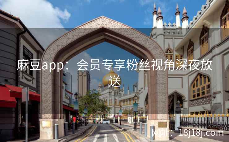 麻豆app：会员专享粉丝视角深夜放送