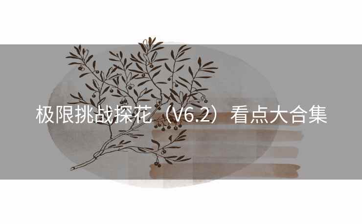 极限挑战探花（V6.2）看点大合集