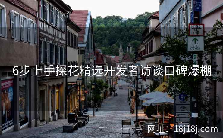 6步上手探花精选开发者访谈口碑爆棚