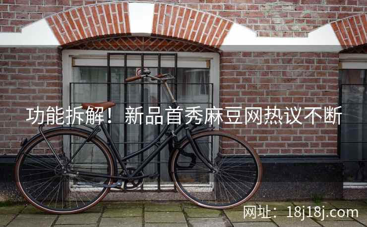 功能拆解！新品首秀麻豆网热议不断