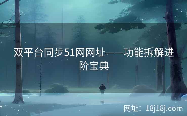 双平台同步51网网址——功能拆解进阶宝典