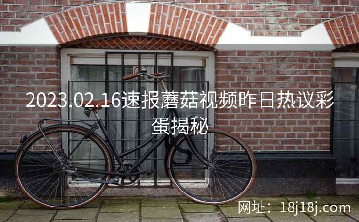 2023.02.16速报蘑菇视频昨日热议彩蛋揭秘