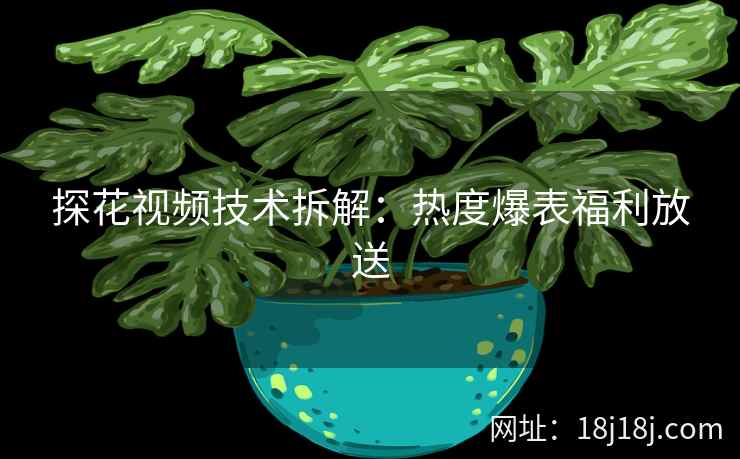 探花视频技术拆解：热度爆表福利放送