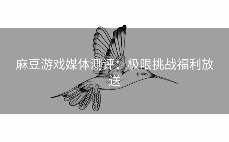 麻豆游戏媒体测评：极限挑战福利放送